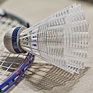 Badminton MJC Laënnec-Mermoz