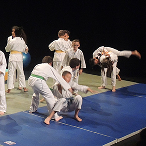 Judo MJC Laënnec-Mermoz