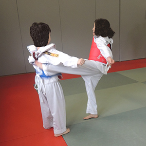 Taekwondo MJC Laënnec-Mermoz